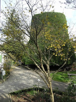 Bucket Tree Lodge