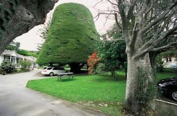 Bucket Tree Lodge