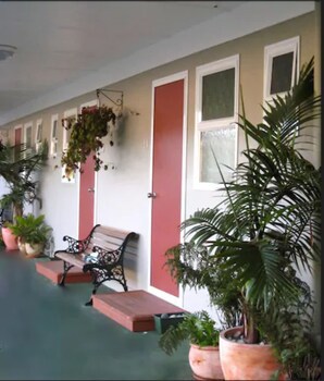Buller Court On Palmerston