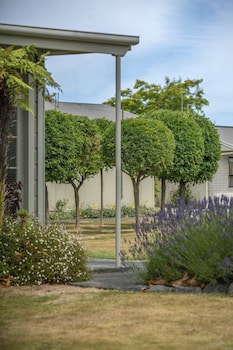 U Studios Masterton