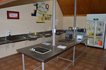 Dunedin Holiday Park & Motels