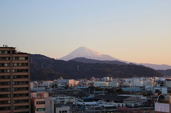 Seagrande Shimizu Station Hotel
