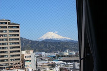 Seagrande Shimizu Station Hotel