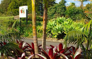 Stay Kerikeri Boutique Apartments And Studios
