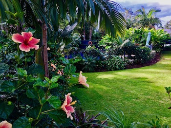 Stay Kerikeri Boutique Apartments And Studios
