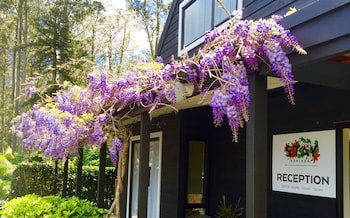 Stay Kerikeri Boutique Apartments And Studios