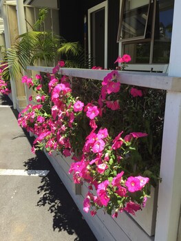 Stay Kerikeri Boutique Apartments And Studios