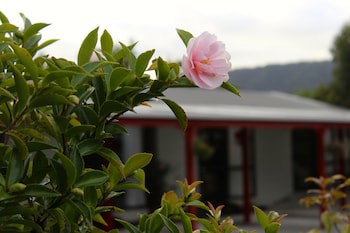Lake Matheson Motel