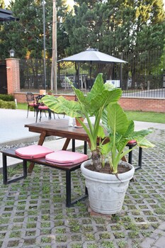 Casa Campus Pilar Suites