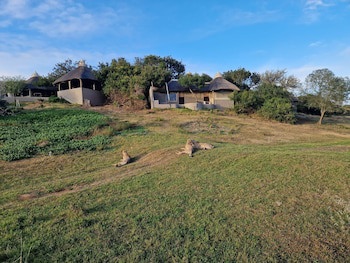 Safari Lodge - Amakhala Game Reserve