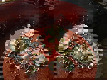 Royal Monte Carlo Sharm El Sheikh - Adults Only