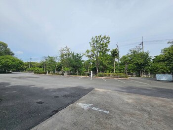 Botany Beach Resort Pattaya