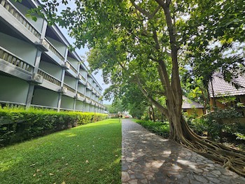 Botany Beach Resort Pattaya