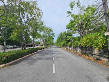Botany Beach Resort Pattaya