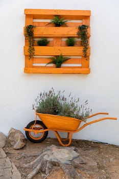 Apartamentos Flor Da Laranja, Albufeira