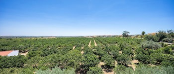 Apartamentos Flor Da Laranja, Albufeira