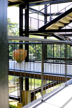 The Rainforest Ecolodge
