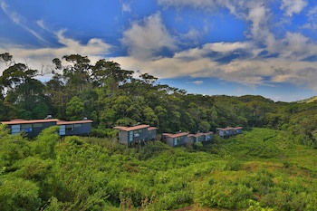 The Rainforest Ecolodge