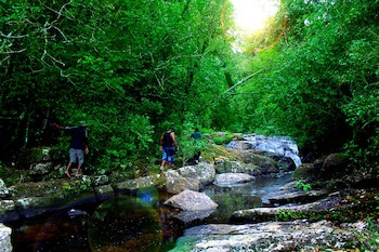 The Rainforest Ecolodge