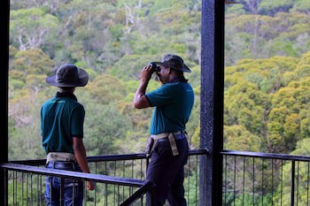 The Rainforest Ecolodge