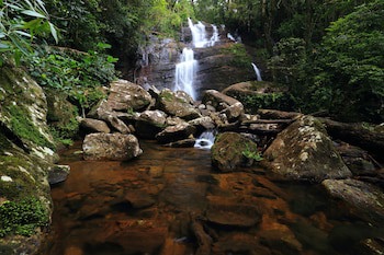 The Rainforest Ecolodge