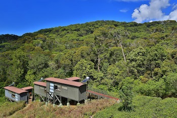 The Rainforest Ecolodge