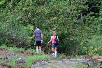 The Rainforest Ecolodge