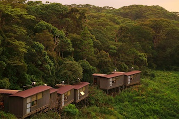 The Rainforest Ecolodge
