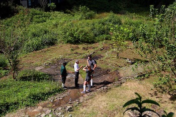 The Rainforest Ecolodge
