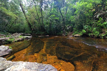 The Rainforest Ecolodge