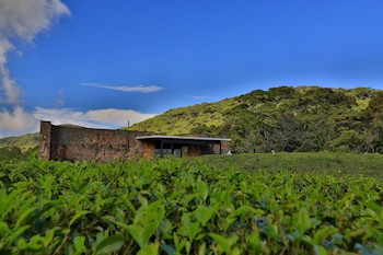 The Rainforest Ecolodge