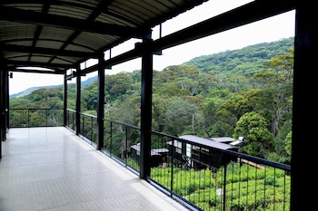 The Rainforest Ecolodge