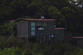 The Rainforest Ecolodge