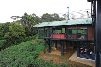 The Rainforest Ecolodge