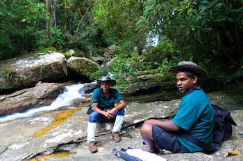 The Rainforest Ecolodge