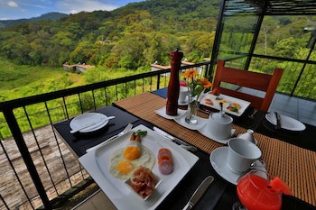 The Rainforest Ecolodge
