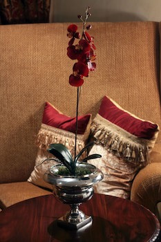 Fusion Boutique Hotel