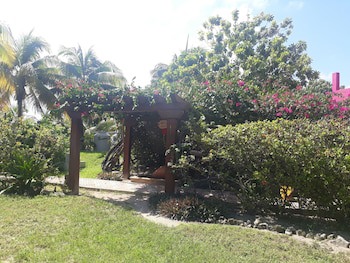 Margarita Del Sol Costa Maya