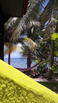 Margarita Del Sol Costa Maya