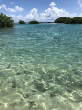 Shaka Caye