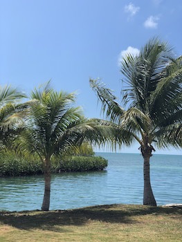 Shaka Caye