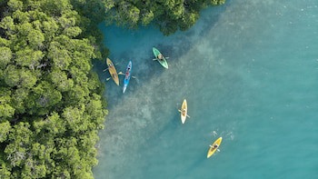 Shaka Caye