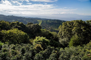 Chayote Lodge