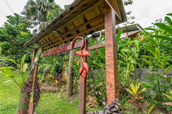 Ara Ambigua Lodge