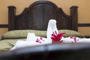 Ara Ambigua Lodge