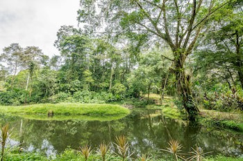 Ara Ambigua Lodge