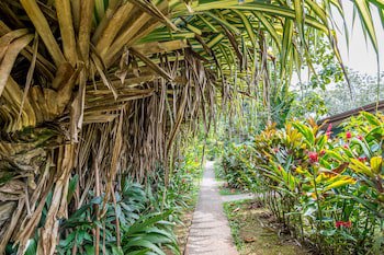Ara Ambigua Lodge