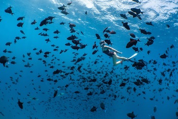 Amilla Maldives