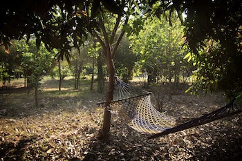 Red Earth Kabini