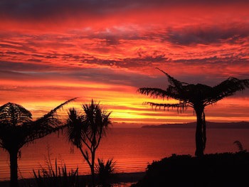 Adrift In Golden Bay Absolute Beachfront Adults Only
